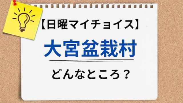 日曜マイチョイス 盆栽村　アイキャッチ